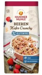 Hammermühle Fulgi Crocanti de Ovaz cu Fructe de Padure, Hammer Muhle, fara Gluten, Bio, 325 g