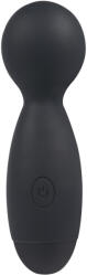 Winyi Vibrator Winyi Vivi Mini Wand Vibrator