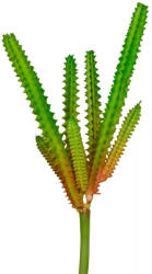  Amerikai Agave | Beszúrható élethű műnövény terráriumba - 20 cm