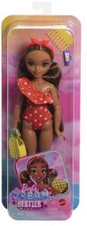 Barbie Papusa Barbie Dream Besties Teresa la plaja cu accesorii Papusa