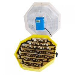  Incubator electric pentru oua, Cleo 5DTH, cu dispozitiv intoarcere, termometru, termohigrometru (Cleo 5DTH)