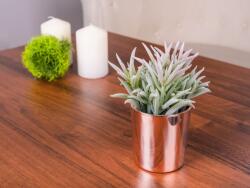 MagicHome Vianoce Suculent artificial decorativ in ghiveci ceramic auriu, 16 cm (8090351)