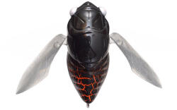 Megabass GRAN SIGLETT 42.5mm 7gr FF KURO AGEHA