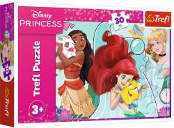 Trefl Puzzle Trefl Disney Princess, 30 piese, Printese frumoase si curajoase, 3+ ani (18323) Puzzle