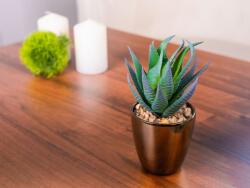 MagicHome Vianoce Suculent artificial decorativ in ghiveci auriu, 17 cm, MagicHome (8090345)