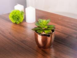 MagicHome Vianoce Suculent artificial decorativ in ghiveci auriu din ciment, 12 cm (8090343)