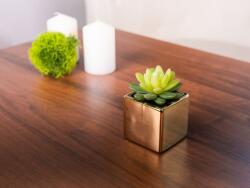 MagicHome Vianoce Sukulent artificial in ghiveci ceramic auriu MagicHome, 15 cm (8090350)