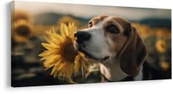 Dovido Kép beagle napraforgóval - 140x70