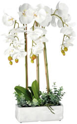 AdTrend Orhidee artificiala alba in ghiveci ceramica 25 x 10 x 62 cm (74899A)