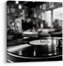 Dovido Tablou disc de gramofon vintage - 70x70