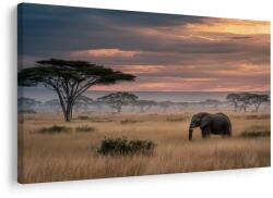Dovido Tablou amurg african cu sălbăticie - 40x30