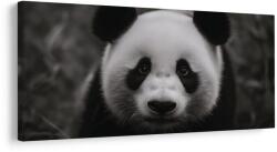 Dovido Tablou panda alb-negru zâmbitoare - 140x70
