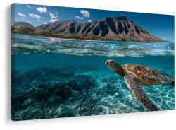 Dovido Tablou broască țestoasă de mare în ocean - 150x100 - dovido - 564,60 RON