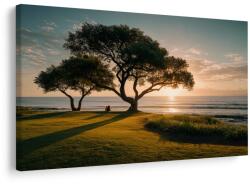 Dovido Tablou arborele vieții lângă mare - 120x80