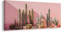 Dovido Tablou grădină modernă de cactuși - 140x70
