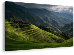 Dovido Tablou terase verzi de orez - 120x80