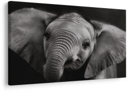 Dovido Tablou pui de elefant în detaliu - 30x20