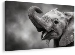 Dovido Tablou pui de elefant în alb-negru - 150x100
