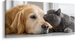 Dovido Tablou armonia animalelor de companie - 200x100