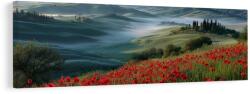 Dovido Tablou peisaj cu valea cețoasă - 120x40