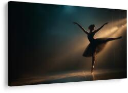 Dovido Tablou balerină în lumina reflectoarelor - 120x80