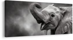 Dovido Tablou moment vesel cu elefant - 200x100