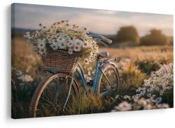 Dovido Tablou bicicletă cu flori pe pajiște - 60x40