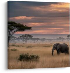 Dovido Tablou peisaj african cu acacia - 50x50