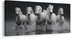 Dovido Tablou galop sălbatic al cailor albi - 100x50