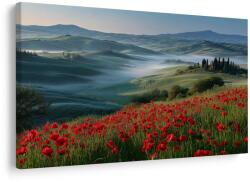 Dovido Tablou ceață de dimineață peste dealuri - 90x60