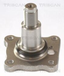 TRISCAN Butuc roata TRISCAN 8535 16007 (8535 16007)