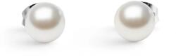 Daniel Wellington cercei pentru femei, din oțel inoxidabil cu perlă 99KK-AKDZUA_SLV (DW00401954)