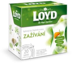 LOYD emésztést segítő piramis tea 40g