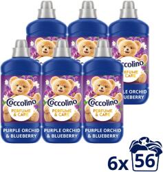 Coccolino Purple Orchid & Blueberry 6×1, 288 l (56 mosás) (6x8720181929915)