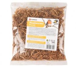  Flamingo szárított kukacok - madár 100 g (143616)