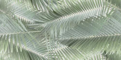 Valore Dekorlap, Valore Altea Leaves Dekor (CCR211) 30x60 - zuhanykabin