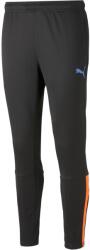 PUMA Team Liga Training Pants (65724250)