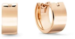 Daniel Wellington Fülbevaló női rozsdamentes acél - arany Univerzális méret