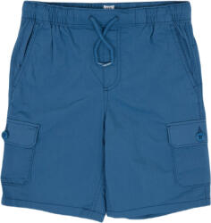 GAP V-hybrid cargo l