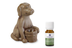 Wooline Lampă de aromaterapie, câine maro + ulei parfumat Eucalipt, 10 ml