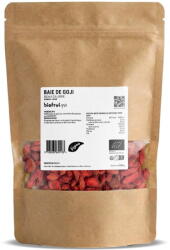BIOFRUISEC Goji din Platoul Tibetan Qinghai Ecologic/Bio 500g