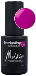 Melkior Professional Machiaj Unghii Everlasting Nail Lacquer Ever Must Oja Semipermanenta 4.5 ml