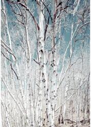 Blueback MAT Nyírerdei tapéta, 150 x 205 cm (BBIMG3894)