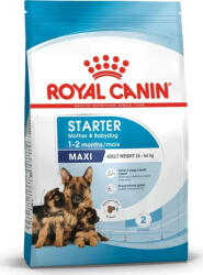 Royal Canin Maxi Starter & Babydog 4 kg