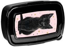 PASO Cicás műanyag uzsonnás doboz - Black Cat (PP26BC-3022) (PP26BC-3022)