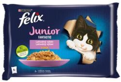 FELIX Fantasztikus tasak mp junior csirke + lazac @4x85g