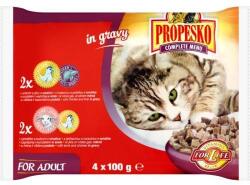 Propesko zsebes csirke+máj, bárány+csirke @4x100g