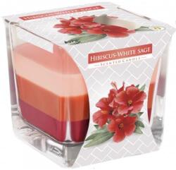 BISPOL gyertya hibiszkusz fehér zsálya snk80-356 170g