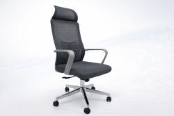 RoHS Ergonomikus, állítható irodai és gamer szék, szürke, 2D fejtámla, szinkronmechanizmus, hálós háttámla a fokozott kényelemért