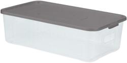 Domotti All Box fedéllel 5 l 34x20x10 cm (5907078425511)